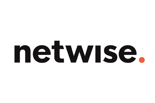 Netwise Hosting London South