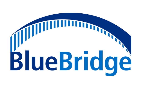 BlueBridge Networks