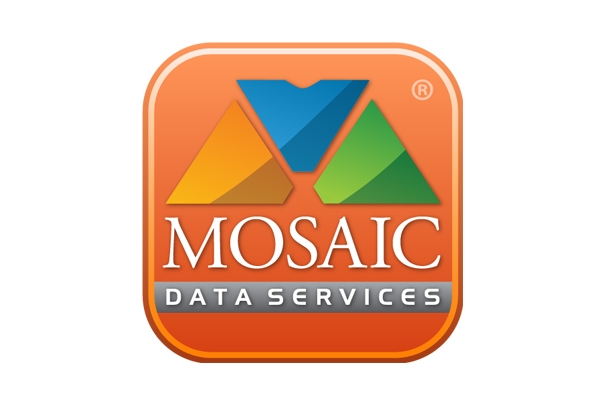 MOSAIC DATA - BELT